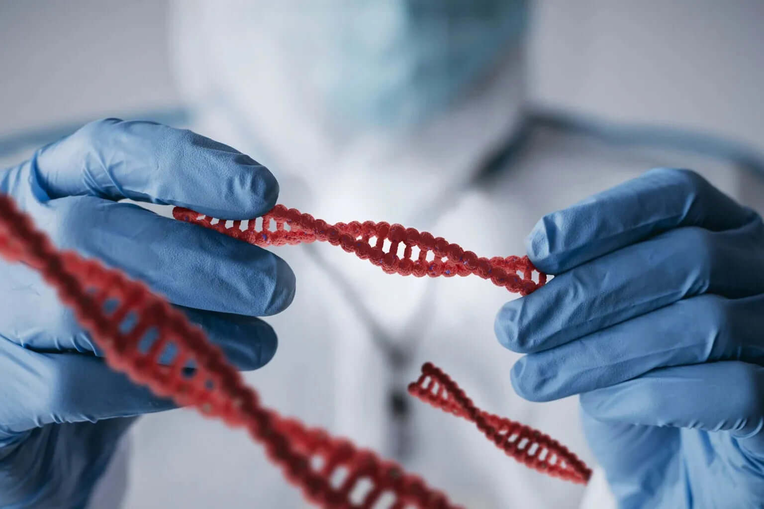 Illustration representing genetic variation